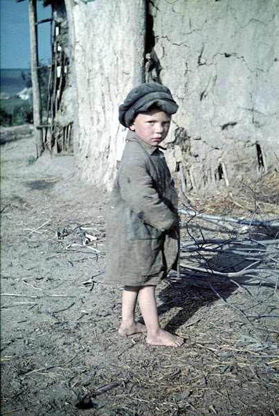 Franz-grasser-photographe-nazi-3 Franz GRASSER, photographe allemand de renommée, mort le 13 novembre 1944