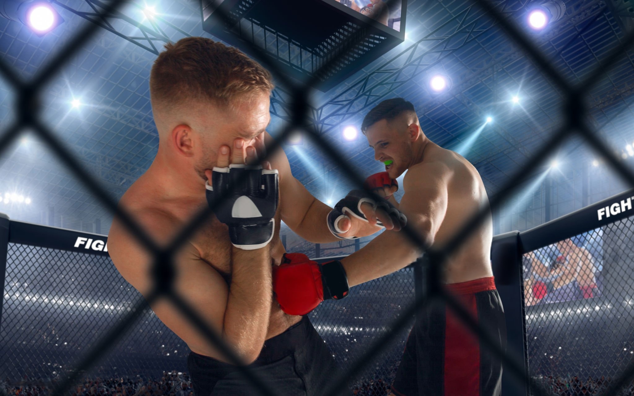 Mma liège violence des combats et fair play